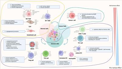 Recent advances in understanding the immune microenvironment in ovarian cancer